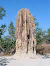 Termite Mounds_Riesentermitenhgel.JPG (131171 Byte)
