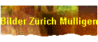 Bilder Zrich Mlligen