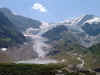 Steingletscher mit See.jpg (114545 Byte)