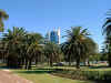 Hochhäuser Perth mit Palmen.JPG (133485 Byte)