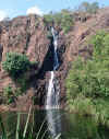 Wangi Falls_Wasserfall2.JPG (171437 Byte)